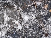 Eisstern Ansammlung auf Eisdecke am Bärnseebach